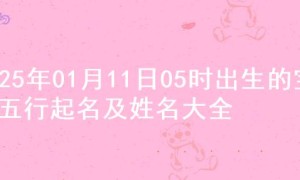 2025年01月11日05时出生的宝宝五行起名及姓名大全