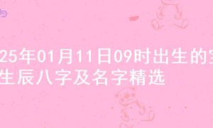 2025年01月11日09时出生的宝宝生辰八字及名字精选