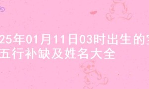 2025年01月11日03时出生的宝宝五行补缺及姓名大全