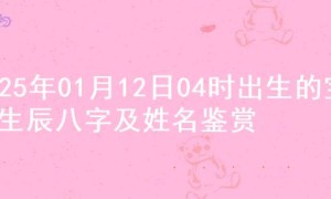 2025年01月12日04时出生的宝宝生辰八字及姓名鉴赏