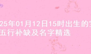 2025年01月12日15时出生的宝宝五行补缺及名字精选