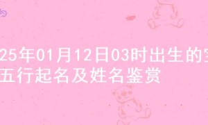 2025年01月12日03时出生的宝宝五行起名及姓名鉴赏