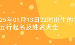 2025年01月13日22时出生的宝宝五行起名及姓名大全