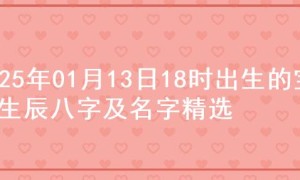 2025年01月13日18时出生的宝宝生辰八字及名字精选