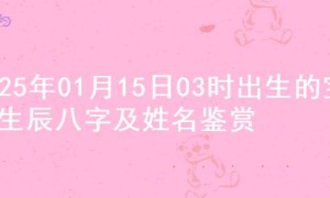 2025年01月15日03时出生的宝宝生辰八字及姓名鉴赏