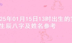 2025年01月15日13时出生的宝宝生辰八字及姓名参考