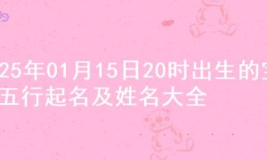 2025年01月15日20时出生的宝宝五行起名及姓名大全