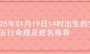 2025年01月19日14时出生的宝宝五行命理及姓名推荐