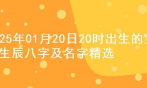 2025年01月20日20时出生的宝宝生辰八字及名字精选