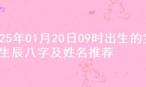 2025年01月20日09时出生的宝宝生辰八字及姓名推荐