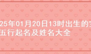 2025年01月20日13时出生的宝宝五行起名及姓名大全