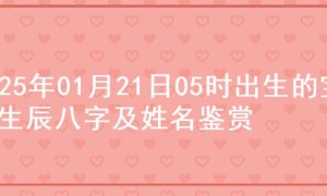 2025年01月21日05时出生的宝宝生辰八字及姓名鉴赏