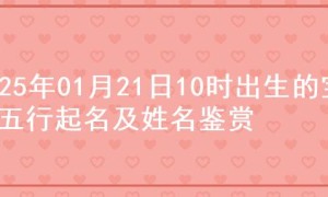 2025年01月21日10时出生的宝宝五行起名及姓名鉴赏