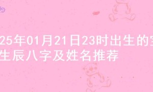 2025年01月21日23时出生的宝宝生辰八字及姓名推荐