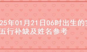 2025年01月21日06时出生的宝宝五行补缺及姓名参考