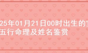 2025年01月21日00时出生的宝宝五行命理及姓名鉴赏