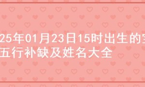 2025年01月23日15时出生的宝宝五行补缺及姓名大全