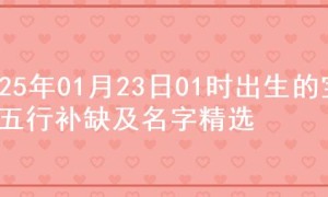 2025年01月23日01时出生的宝宝五行补缺及名字精选