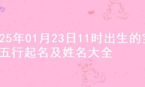 2025年01月23日11时出生的宝宝五行起名及姓名大全