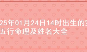 2025年01月24日14时出生的宝宝五行命理及姓名大全