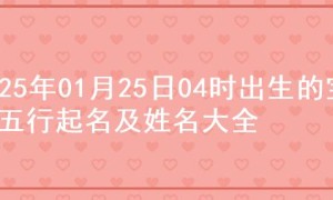 2025年01月25日04时出生的宝宝五行起名及姓名大全