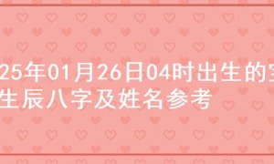 2025年01月26日04时出生的宝宝生辰八字及姓名参考