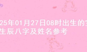 2025年01月27日08时出生的宝宝生辰八字及姓名参考