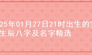 2025年01月27日21时出生的宝宝生辰八字及名字精选