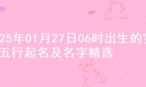 2025年01月27日06时出生的宝宝五行起名及名字精选