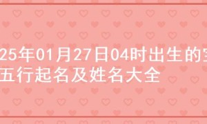 2025年01月27日04时出生的宝宝五行起名及姓名大全