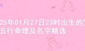 2025年01月27日23时出生的宝宝五行命理及名字精选