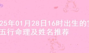 2025年01月28日16时出生的宝宝五行命理及姓名推荐