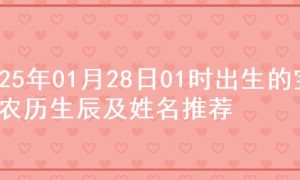 2025年01月28日01时出生的宝宝农历生辰及姓名推荐