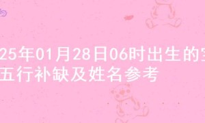 2025年01月28日06时出生的宝宝五行补缺及姓名参考