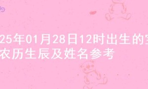 2025年01月28日12时出生的宝宝农历生辰及姓名参考