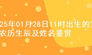 2025年01月28日11时出生的宝宝农历生辰及姓名鉴赏