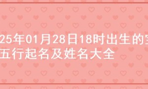 2025年01月28日18时出生的宝宝五行起名及姓名大全