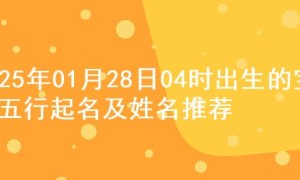 2025年01月28日04时出生的宝宝五行起名及姓名推荐