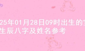 2025年01月28日09时出生的宝宝生辰八字及姓名参考