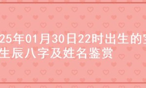 2025年01月30日22时出生的宝宝生辰八字及姓名鉴赏