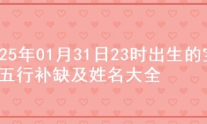 2025年01月31日23时出生的宝宝五行补缺及姓名大全