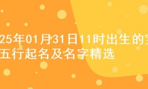 2025年01月31日11时出生的宝宝五行起名及名字精选