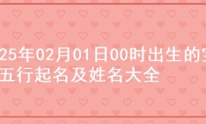 2025年02月01日00时出生的宝宝五行起名及姓名大全