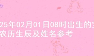 2025年02月01日08时出生的宝宝农历生辰及姓名参考