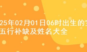 2025年02月01日06时出生的宝宝五行补缺及姓名大全