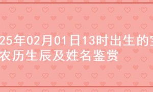 2025年02月01日13时出生的宝宝农历生辰及姓名鉴赏