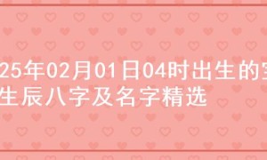 2025年02月01日04时出生的宝宝生辰八字及名字精选