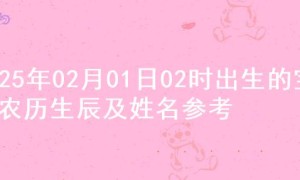 2025年02月01日02时出生的宝宝农历生辰及姓名参考