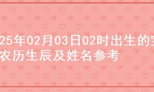 2025年02月03日02时出生的宝宝农历生辰及姓名参考