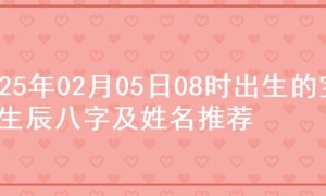 2025年02月05日08时出生的宝宝生辰八字及姓名推荐